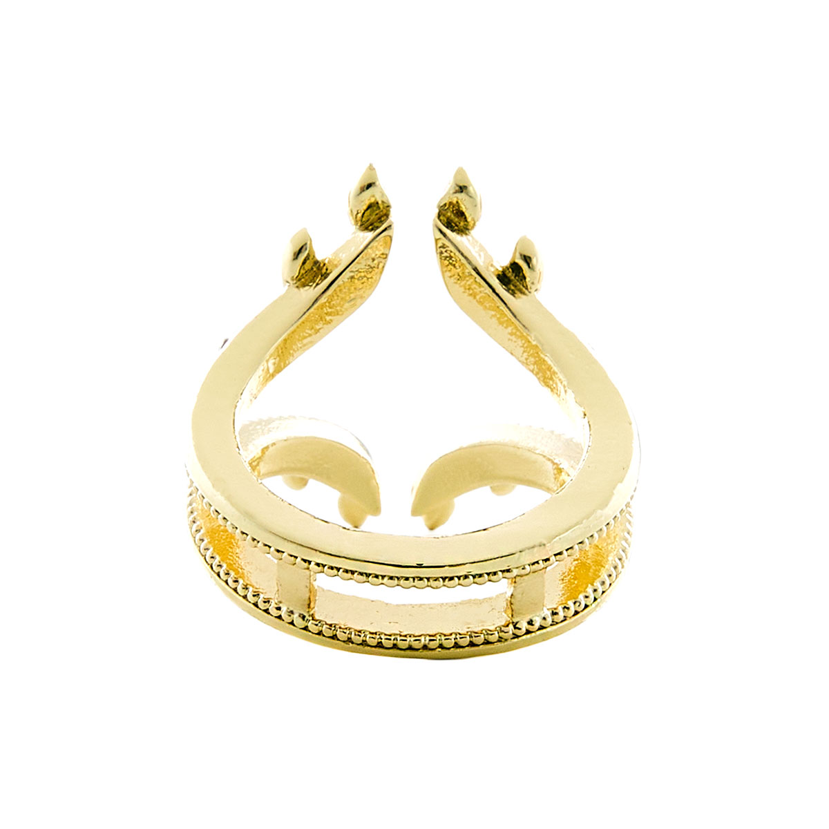 映画 ギヴン 海へ アイコニック ストーリー リングオブジェ- MAYLA